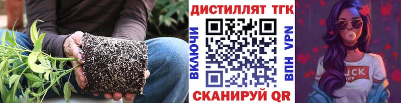 Купить закладки  Усолье-Сибирское  ТГК Wax 